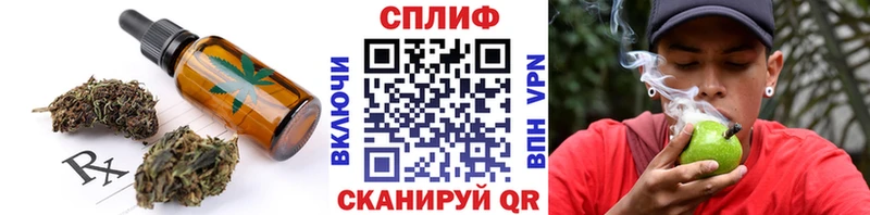 Cannafood конопля Сунжа