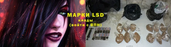 гидропоника Аркадак