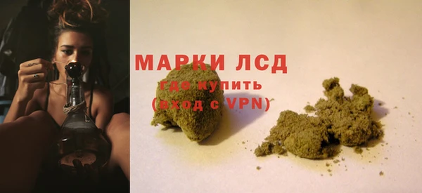 СК Арсеньев