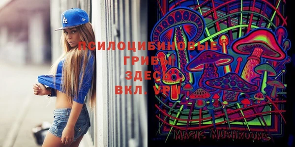 гидропоника Аркадак