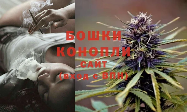 гидропоника Аркадак