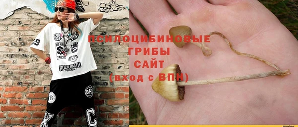СК Арсеньев