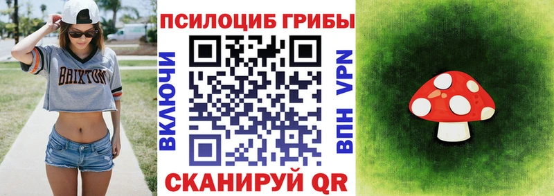 Псилоцибиновые грибы Cubensis где найти Сунжа